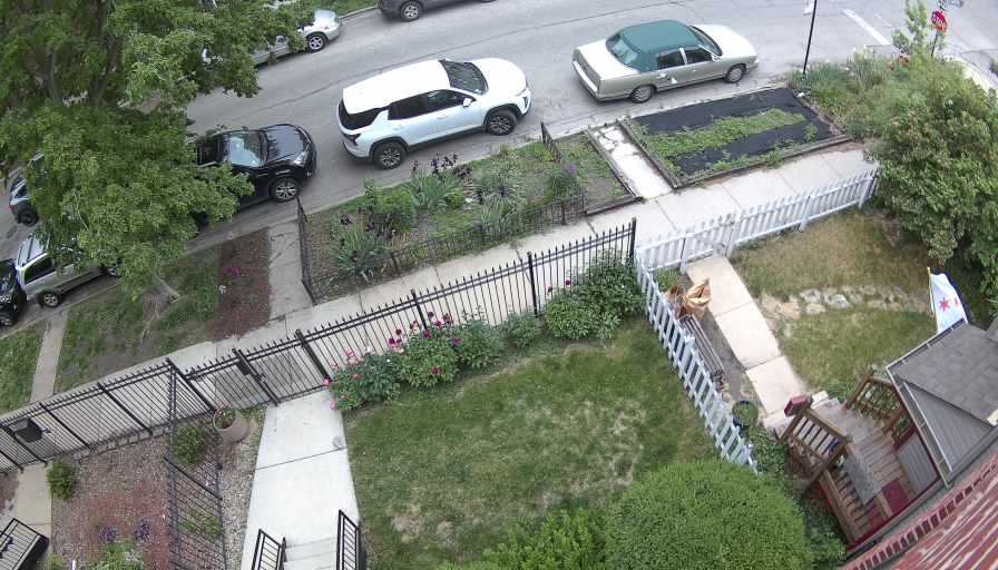 Reolink Camera One_00_Reolink Home Hub One_20260521082215.jpg